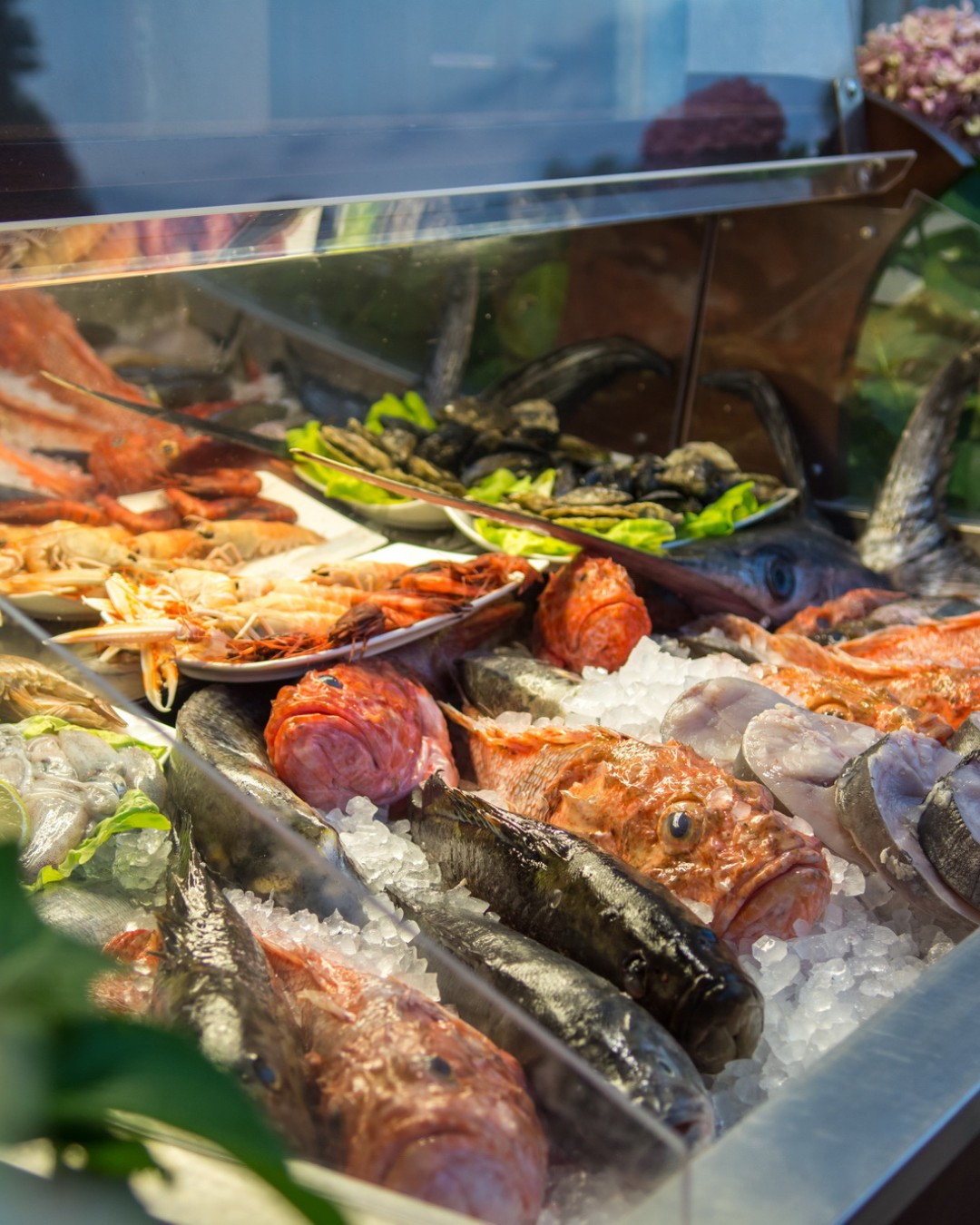 Where to Eat Around Cavtat and Dubrovnik in 2026: A Practical Guide for People Who Care About Food