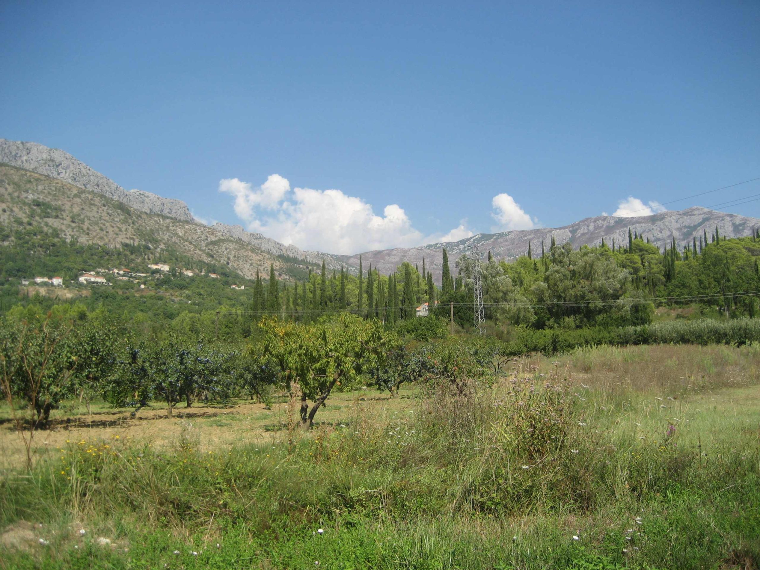 Konavle countryside inland from Cavtat