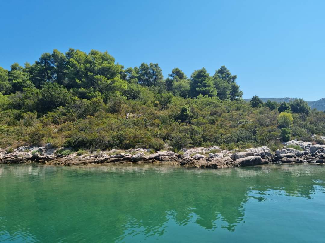 PHOTO-2023-08-17-10-19-54-4 (1)