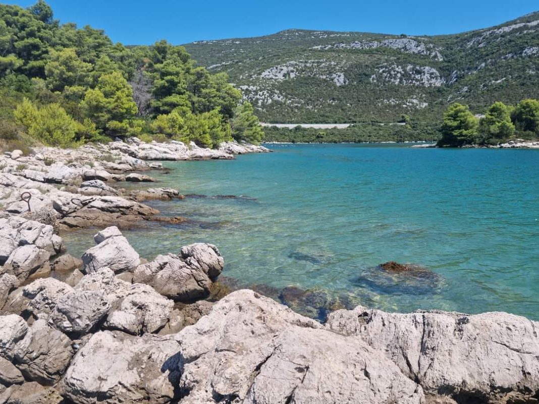 PHOTO-2023-08-17-10-19-55-2