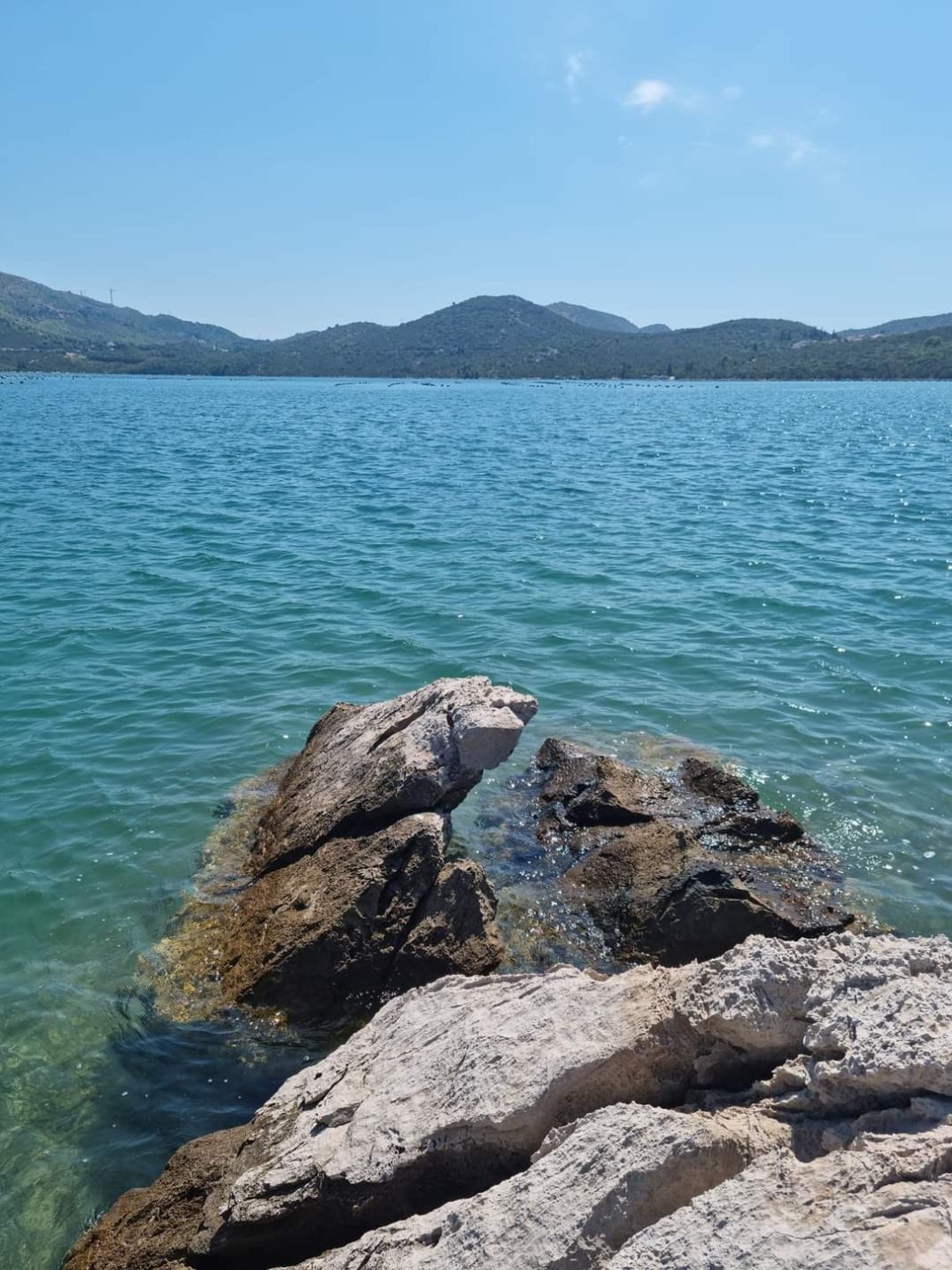 PHOTO-2023-08-17-10-19-55-3