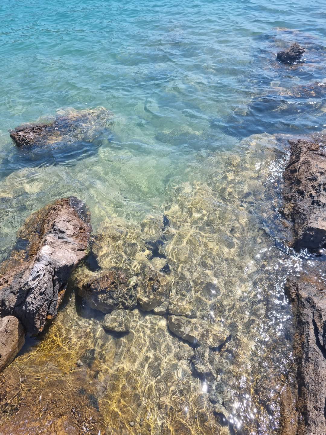 PHOTO-2023-08-17-10-19-55