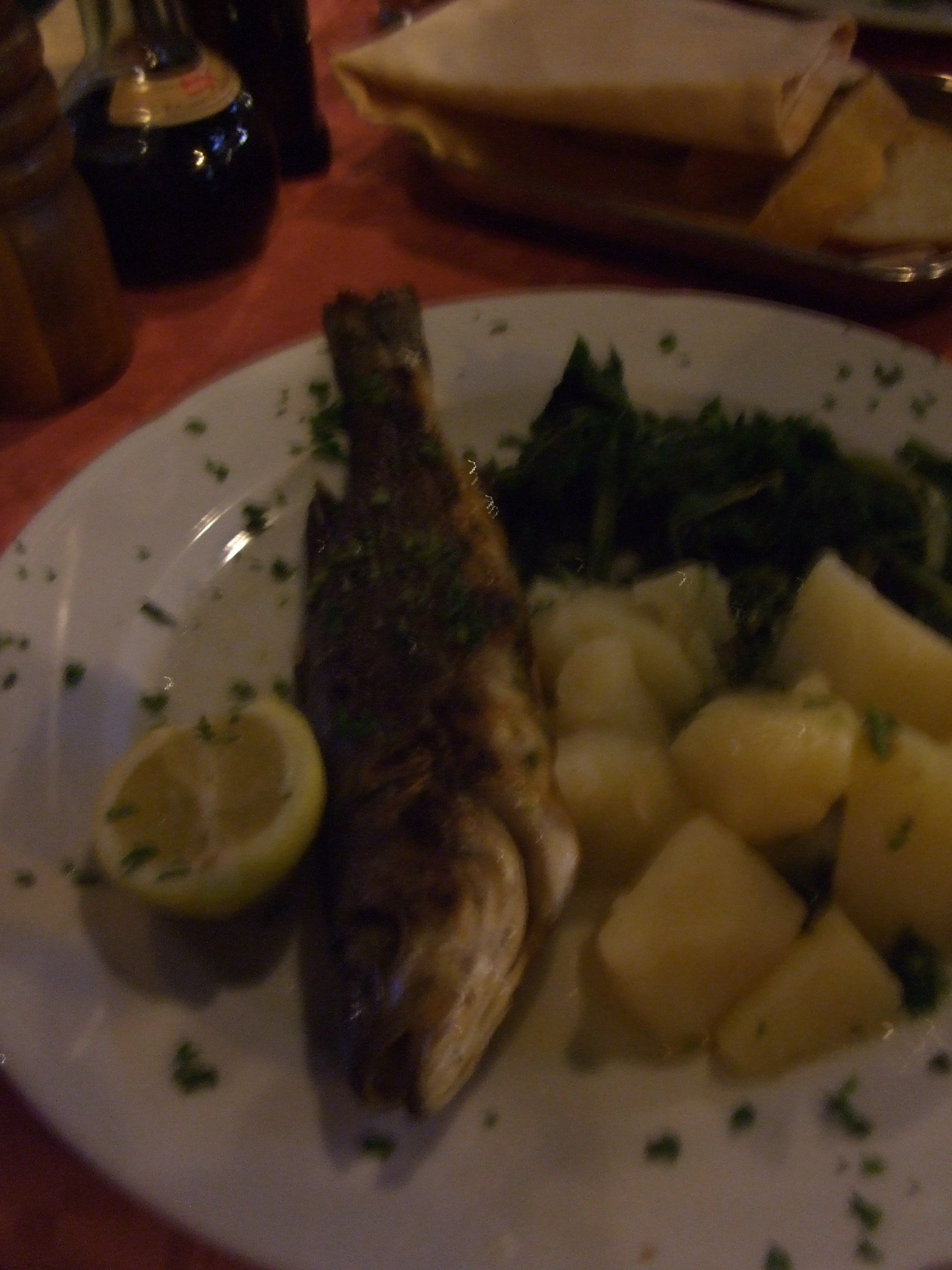 Sea bass dish in Cavtat